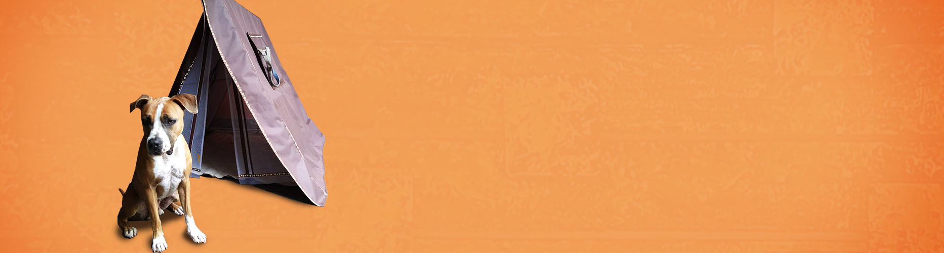 banner-tendas-para-caes